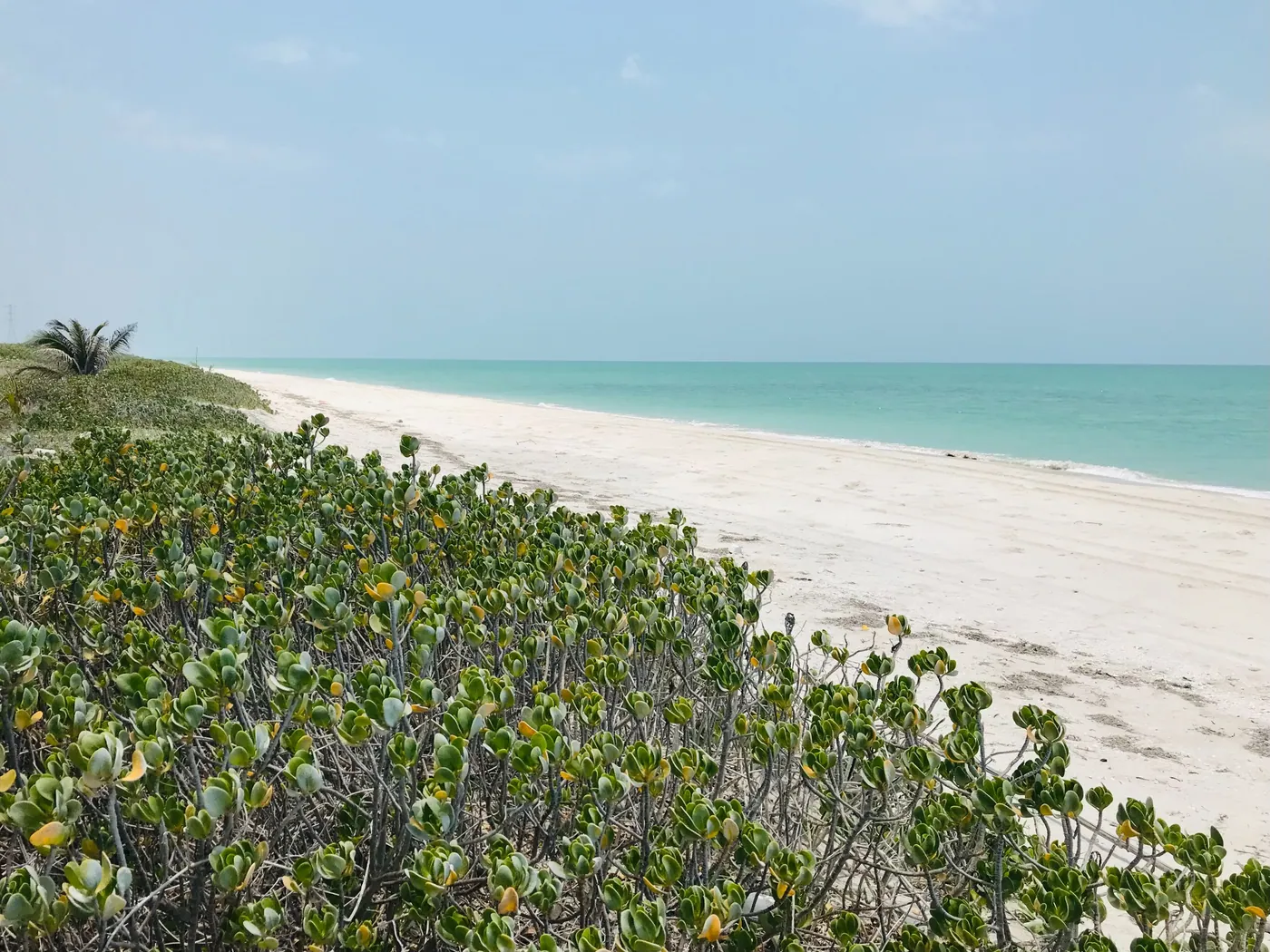 Original Playa Mundo Maya sandy beachfront