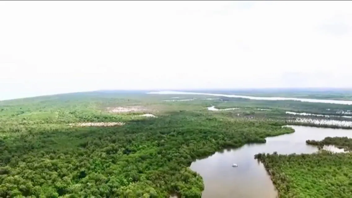 Aerial view of the natural lagoon waterways and surrounding coastal vegetation